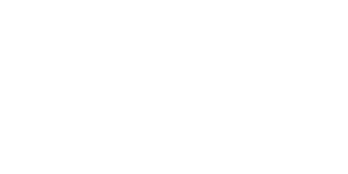 Microsoft_w_500x250