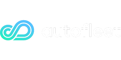 Autofleet 500_250 (1)